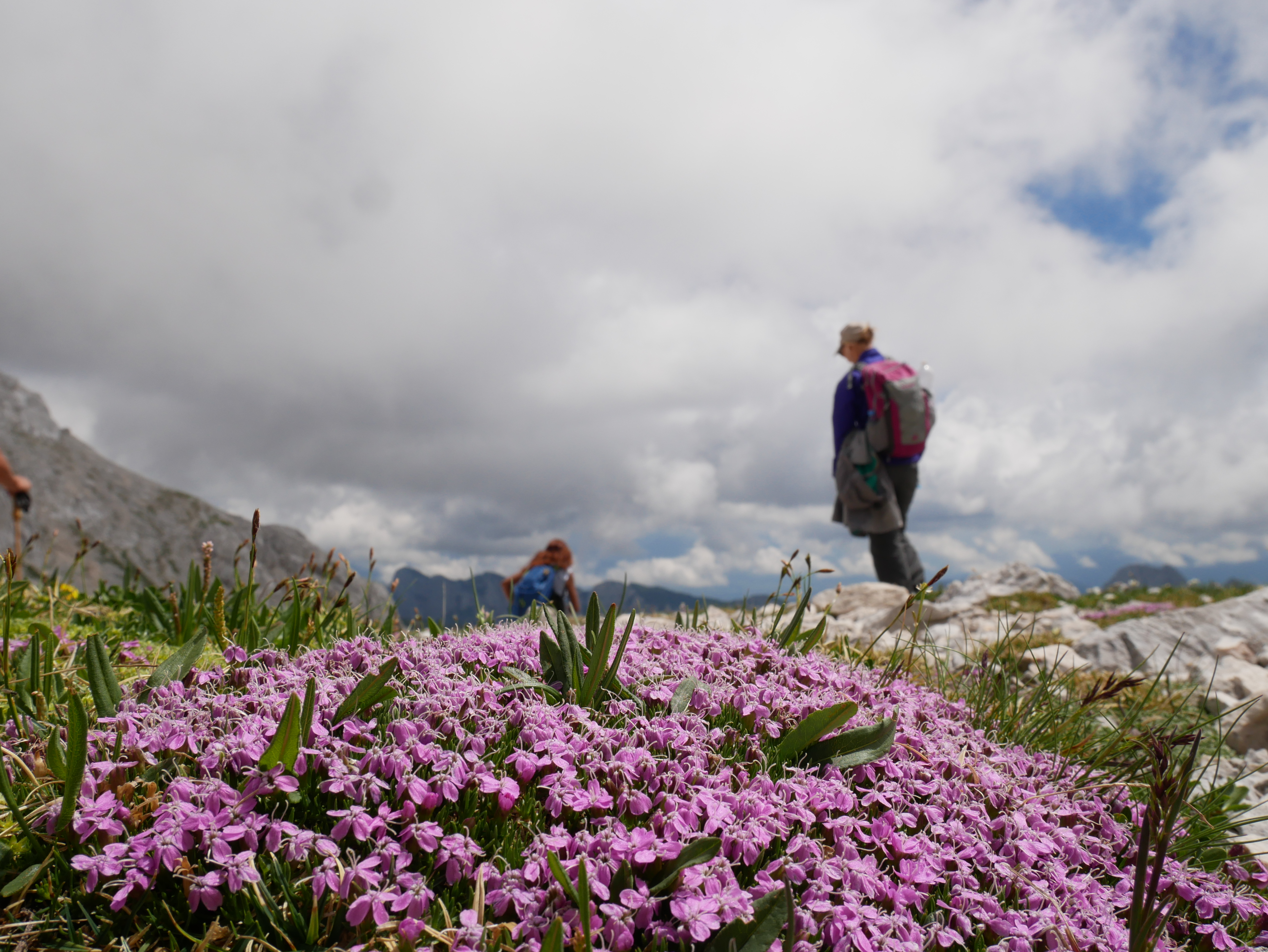 lunch break on the way to Triglav hut
